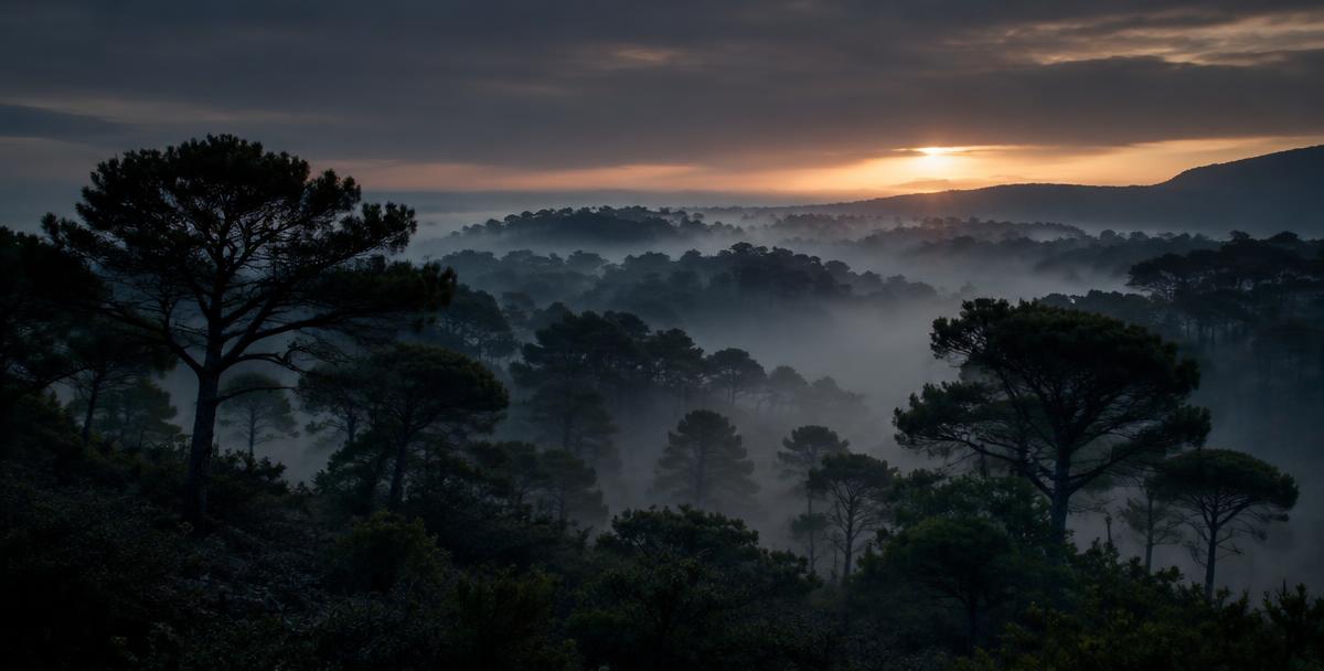 Sierra mediterránea al amanecer entre niebla